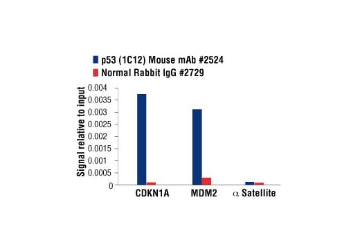 Chromatin Immunoprecipitation Image 1: p53 (1C12) Mouse Monoclonal Antibody