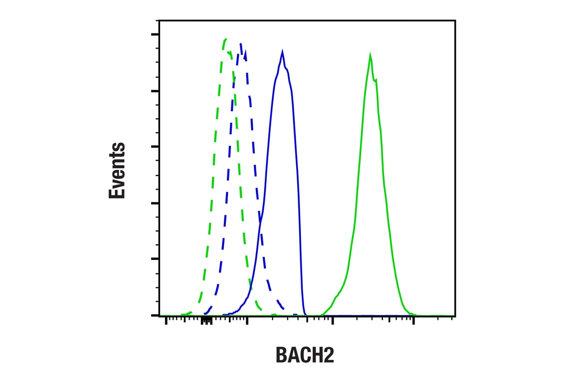 Flow Cytometry Image 1: BACH2 (E3N3K) Rabbit mAb