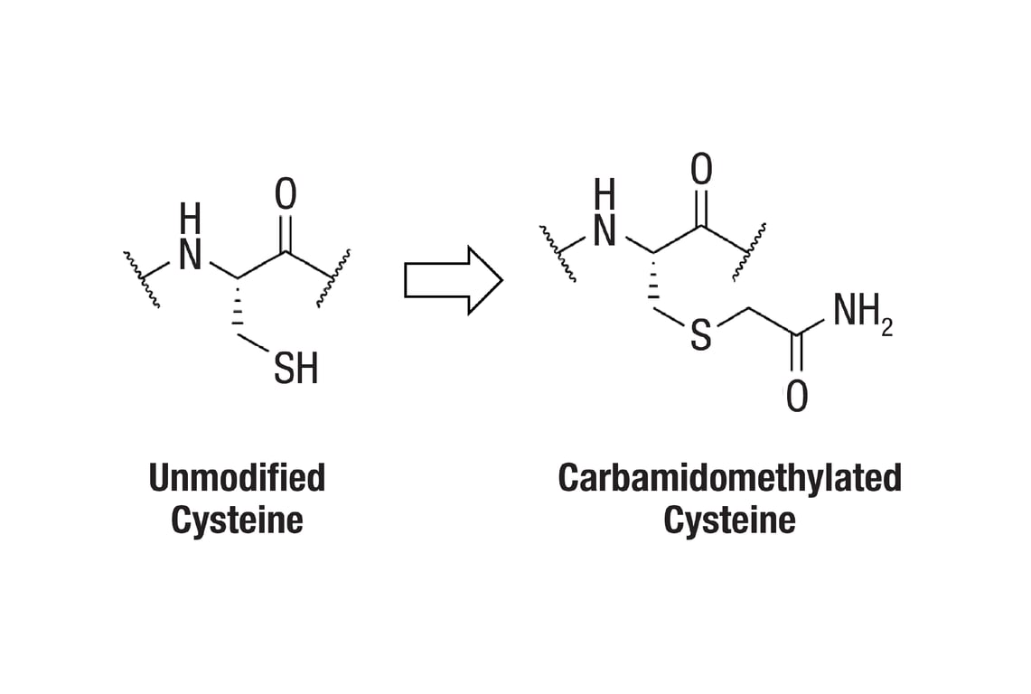 PTMScan Image 2: PTMScan<sup>®</sup> Carbamidomethyl Cysteine Motif (CAM-C) Kit