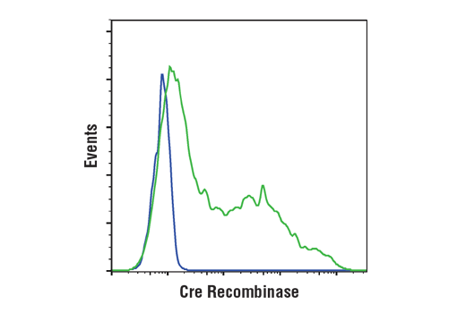 Flow Cytometry Image 1: Cre Recombinase (D7L7L) Rabbit Monoclonal Antibody