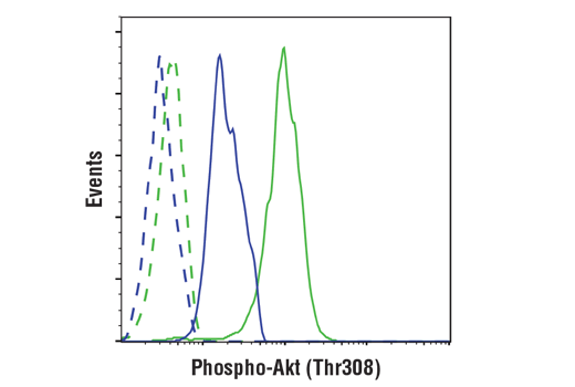 Flow Cytometry Image 1: Phospho-Akt (Thr308) (D25E6) Rabbit Monoclonal Antibody