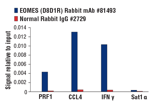 undefined Image 37: Human Exhausted T Cell Antibody Sampler Kit