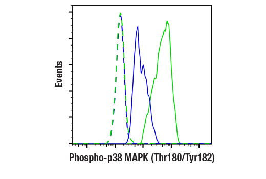 Flow Cytometry Image 1: Phospho-p38 MAPK (Thr180/Tyr182) (28B10) Mouse Monoclonal Antibody (BSA and Azide Free)