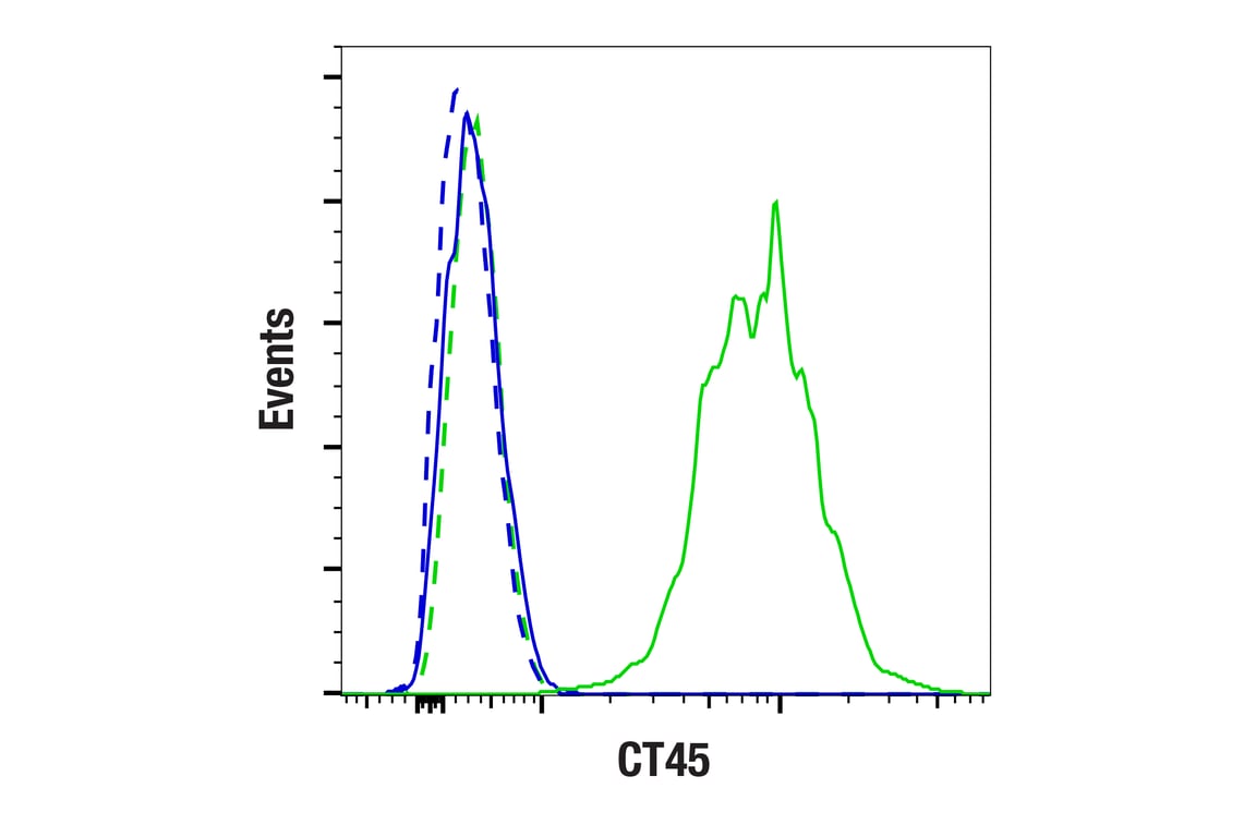 Flow Cytometry Image 1: CT45 (F7S2I) Rabbit Monoclonal Antibody