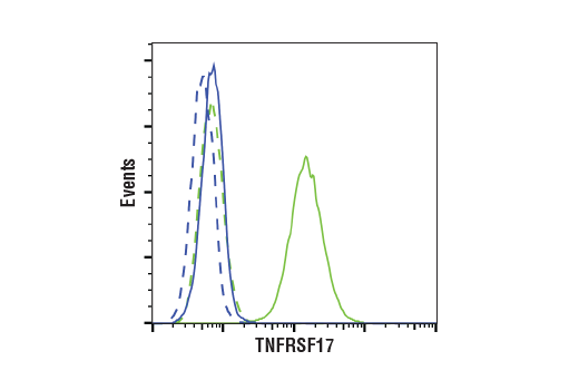 Flow Cytometry Image 1: TNFRSF17/BCMA (E6D7B) Rabbit Monoclonal Antibody