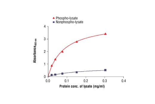 ELISA Image 2: PathScan<sup>®</sup> Phospho-ALK (Tyr1604) Sandwich ELISA Kit