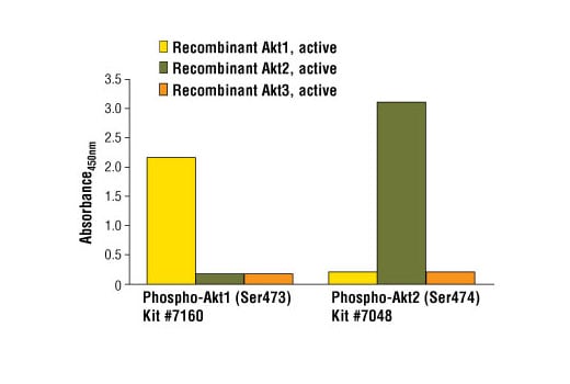 ELISA Image 2: PathScan<sup>®</sup> Phospho-Akt2 (Ser474) Sandwich ELISA Kit II