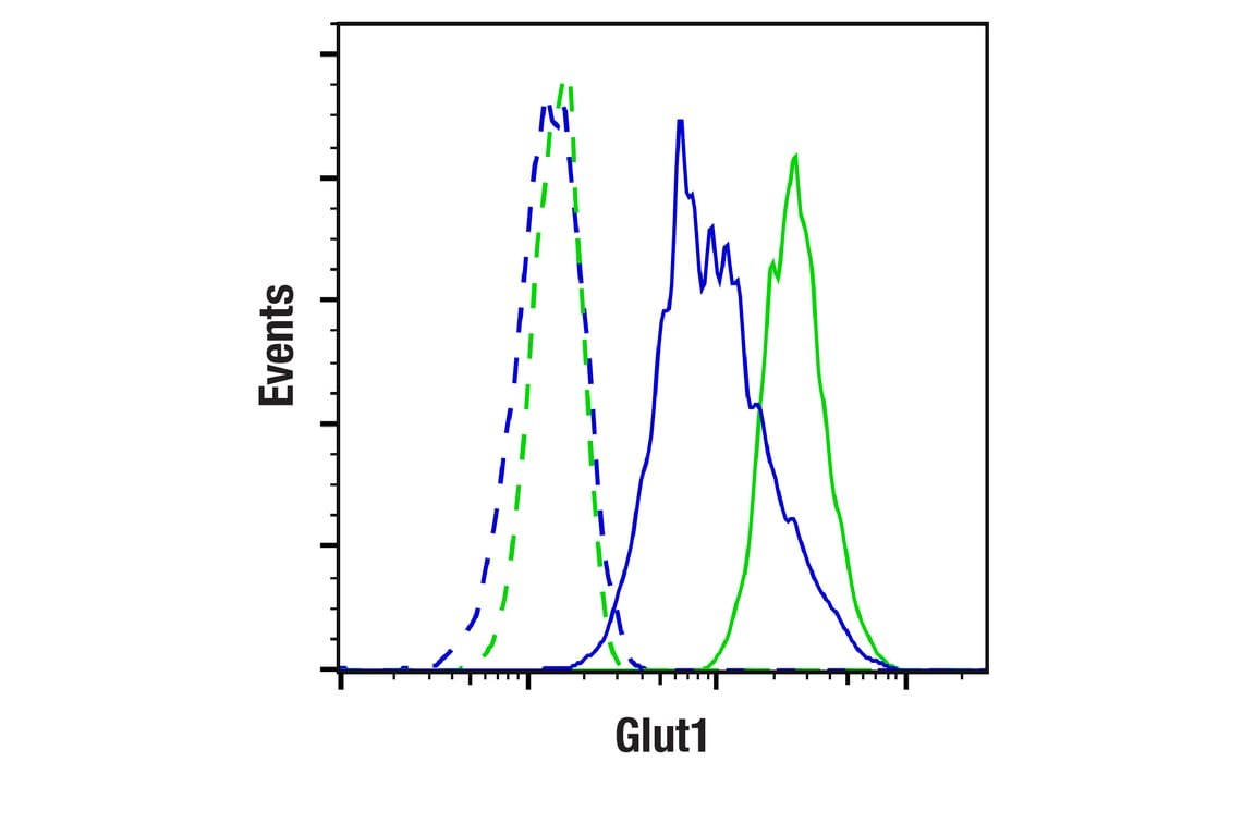 Flow Cytometry Image 1: Glut1 (E4S6I) Rabbit Monoclonal Antibody