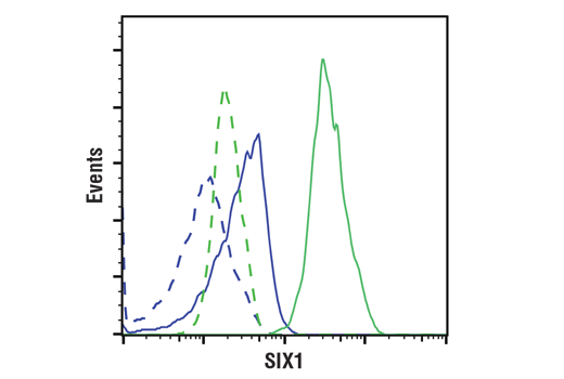 Flow Cytometry Image 1: SIX1 (D4A8K) Rabbit Monoclonal Antibody (BSA and Azide Free)