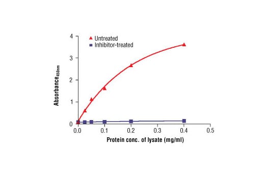 ELISA Image 2: PathScan<sup>®</sup> Phospho-FLT3 (panTyr) Sandwich ELISA Kit
