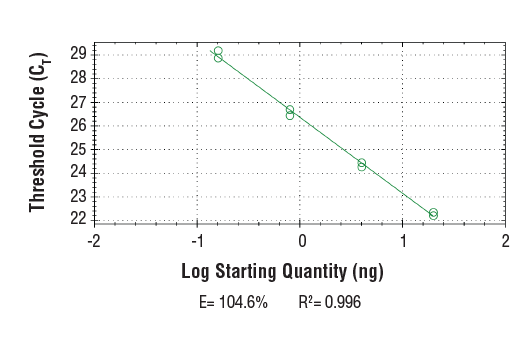 Chromatin Immunoprecipitation Image 2: SimpleChIP<sup>®</sup> Mouse PDX1 Promoter Primers