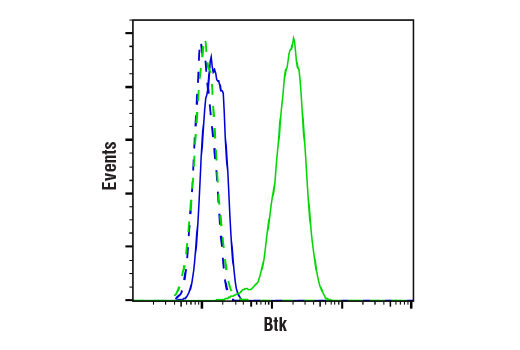 undefined Image 10: PhosphoPlus<sup>®</sup> Btk (Tyr223) Antibody Duet