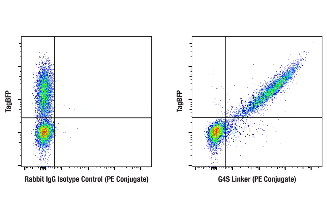 Flow Cytometry Image 3: G4S Linker (E7O2V) Rabbit Monoclonal Antibody (PE Conjugate)