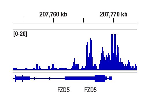 undefined Image 37: Polycomb Group 2 (PRC2) Antibody Sampler Kit
