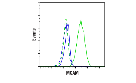 Flow Cytometry Image 1: MCAM (E3F3E) Rabbit Monoclonal Antibody (BSA and Azide Free)