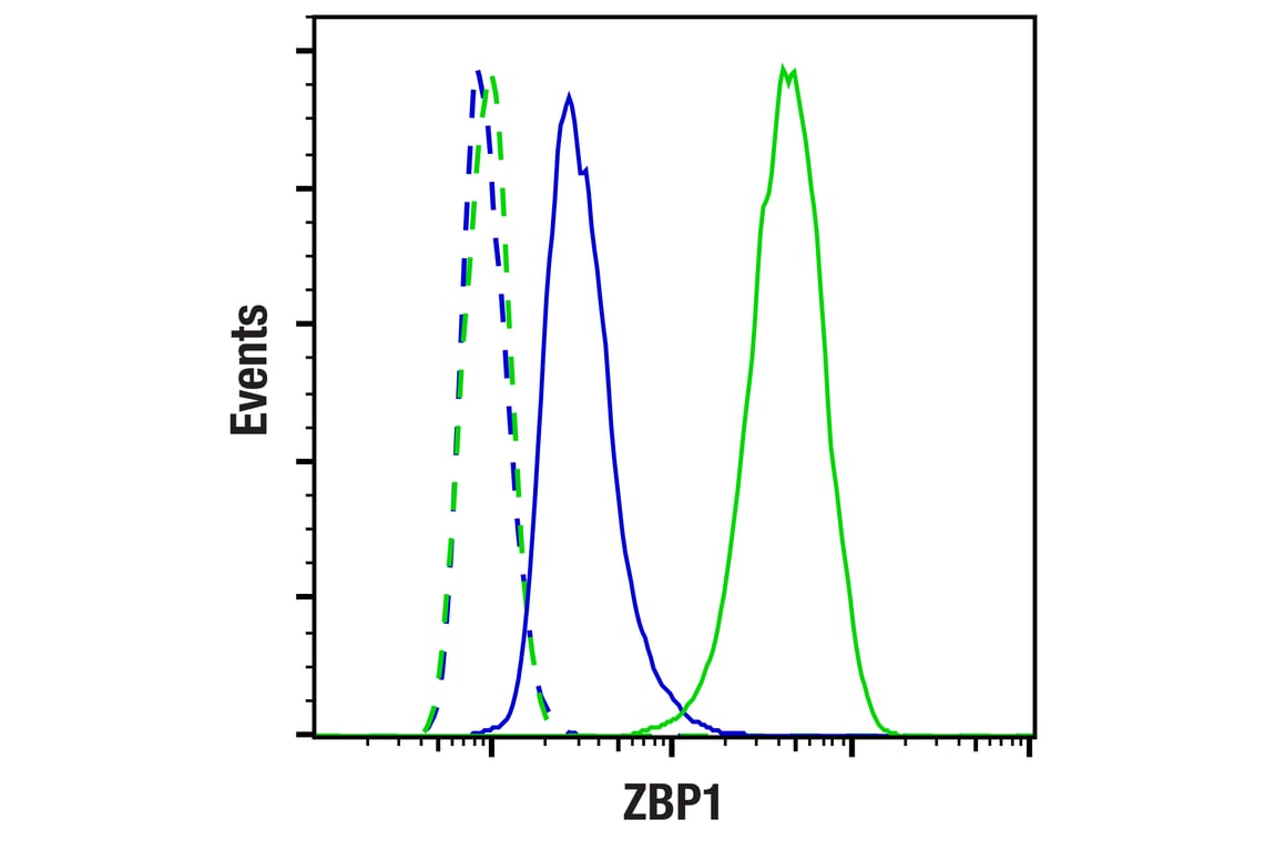 Flow Cytometry Image 1: ZBP1 (E6H8F) Rabbit Monoclonal Antibody (BSA and Azide Free)