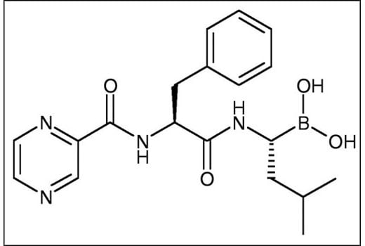 undefined Image 3: Bortezomib