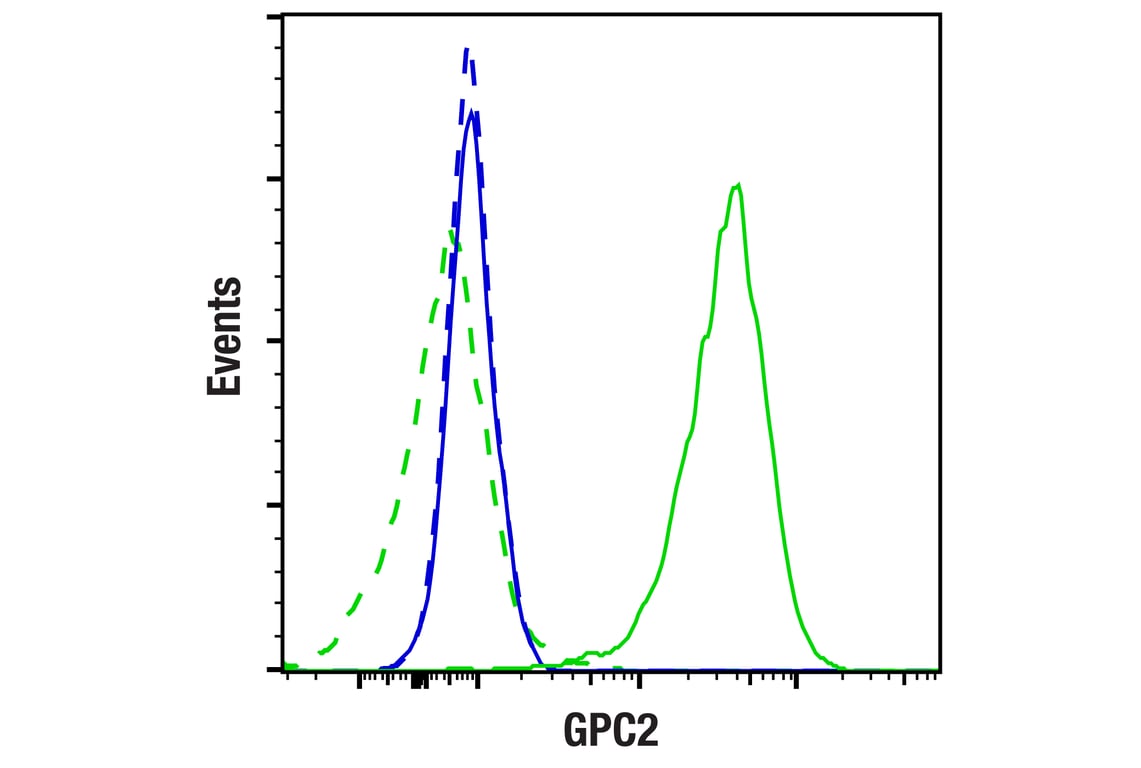 Flow Cytometry Image 1: GPC2 (CT3) Mouse Monoclonal Antibody