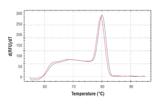 undefined Image 2: SimpleChIP<sup>®</sup> Human PTMA Downstream Primers