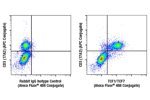 Flow Cytometry Image 1: TCF1/TCF7 (E6O1K) Rabbit Monoclonal Antibody (Alexa Fluor<sup>®</sup> 488 Conjugate)