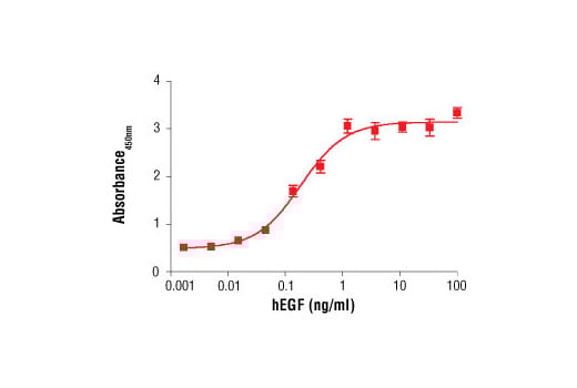 FUNC Image 2: BrdU Cell Proliferation Assay Kit