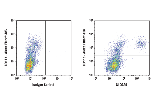 Flow Cytometry Image 1: S100A9 (D3U8M) Rabbit Monoclonal Antibody (BSA and Azide Free)