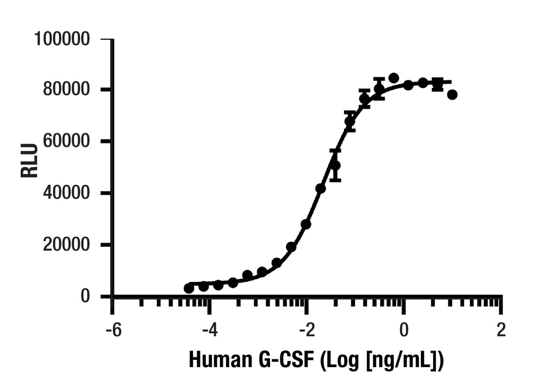 undefined Image 2: Human G-CSF Recombinant Protein