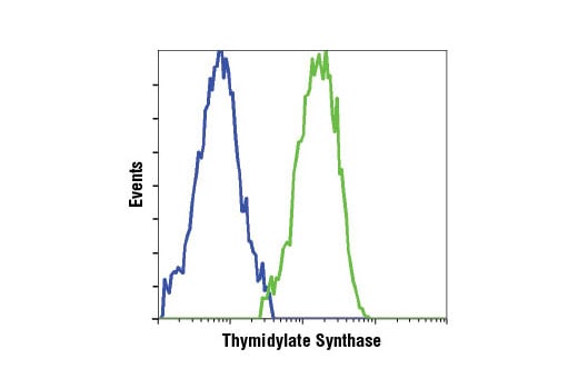 Flow Cytometry Image 1: Thymidylate Synthase (D5B3) Rabbit Monoclonal Antibody