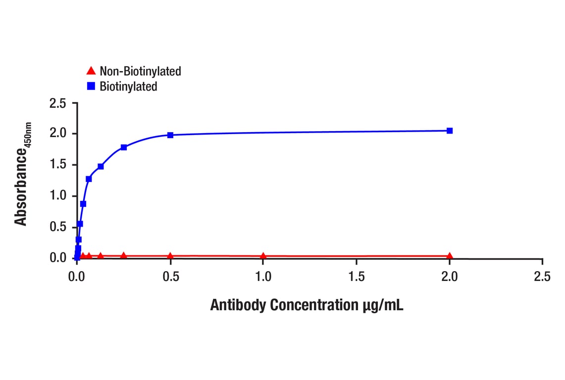 ELISA and/or ELISA-like Assays Image 1: His-Tag (D3I1O) Rabbit Monoclonal Antibody (Biotinylated)