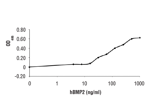 undefined Image 1: Human BMP-2 Recombinant Protein