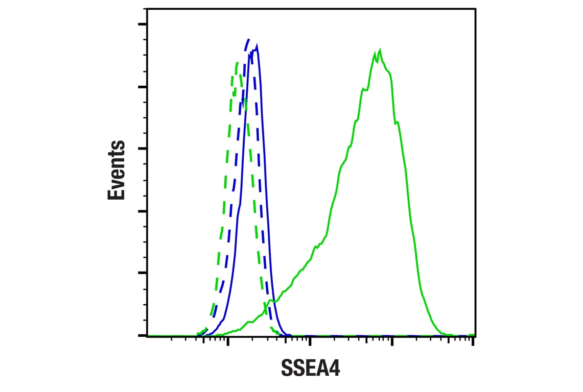 Flow Cytometry Image 1: SSEA4 (MC813) Mouse Monoclonal Antibody