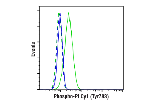 undefined Image 12: PLC gamma Antibody Sampler Kit