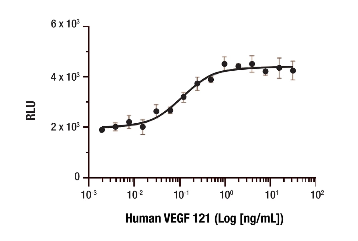 undefined Image 2: Human VEGF-121 Recombinant Protein