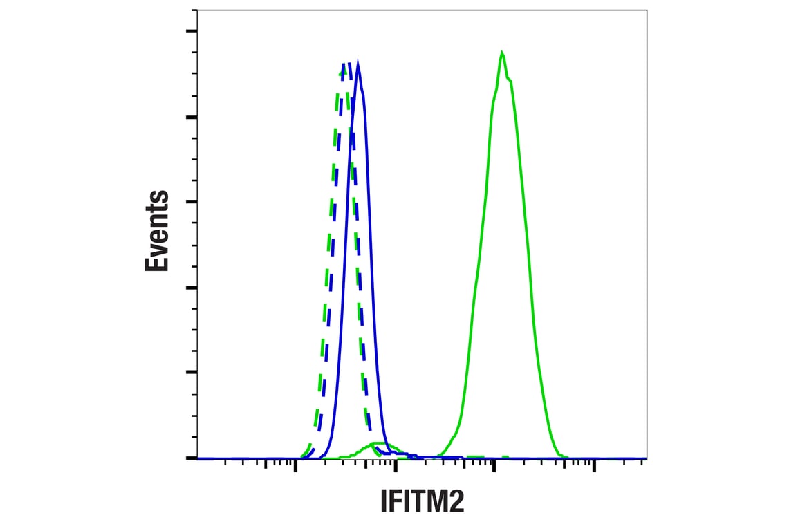 Flow Cytometry Image 1: IFITM2 (F2H3I) Rabbit Monoclonal Antibody