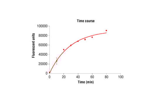 undefined Image 5: HTScan<sup>®</sup> FGF Receptor 3 Kinase Assay Kit