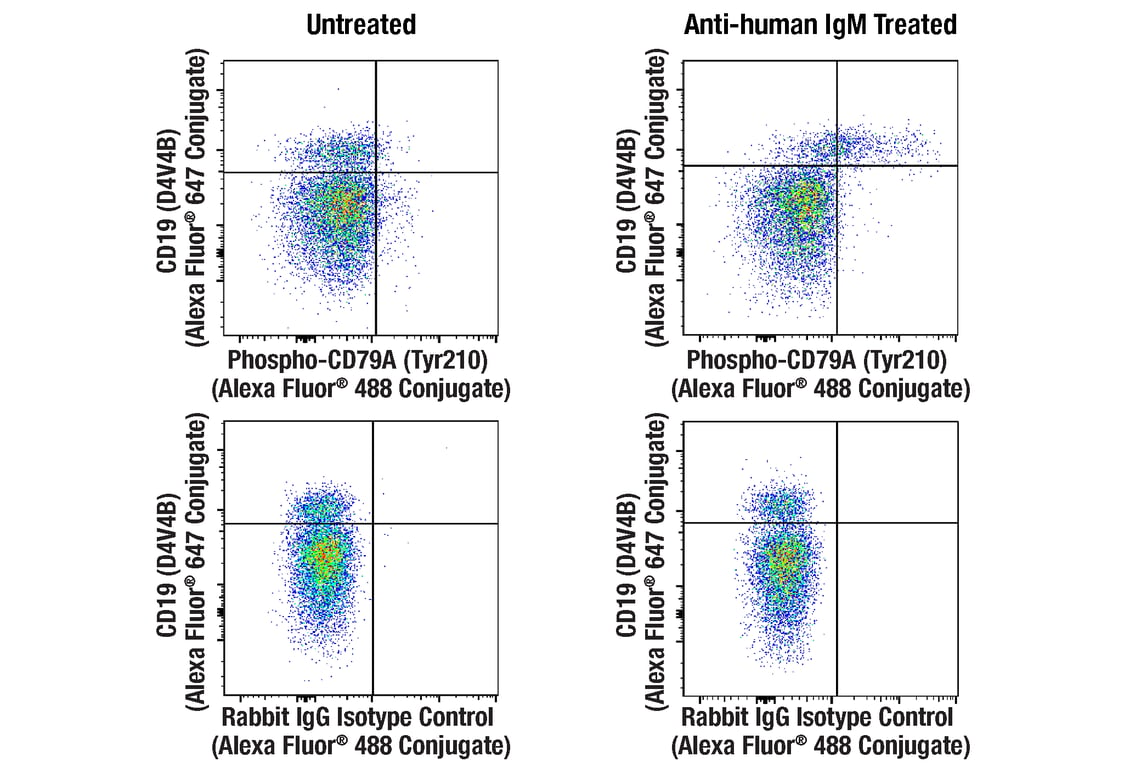 Flow Cytometry Image 1: Phospho-CD79A (Tyr210) (E8E9Z) Rabbit mAb (Alexa Fluor<sup>®</sup> 488 Conjugate)