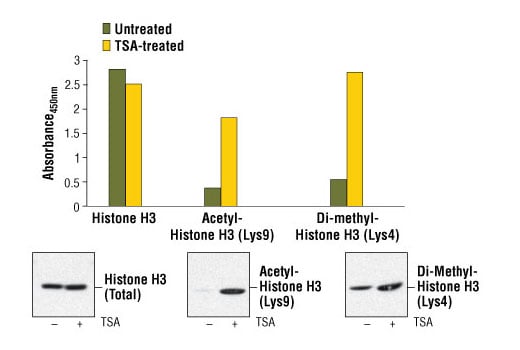 ELISA Image 1: PathScan<sup>®</sup> Total Histone H3 Sandwich ELISA Kit