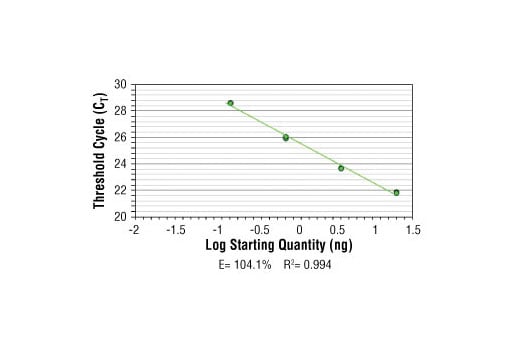 Chromatin Immunoprecipitation Image 2: SimpleChIP<sup>®</sup> Human SUB1 Promoter Primers