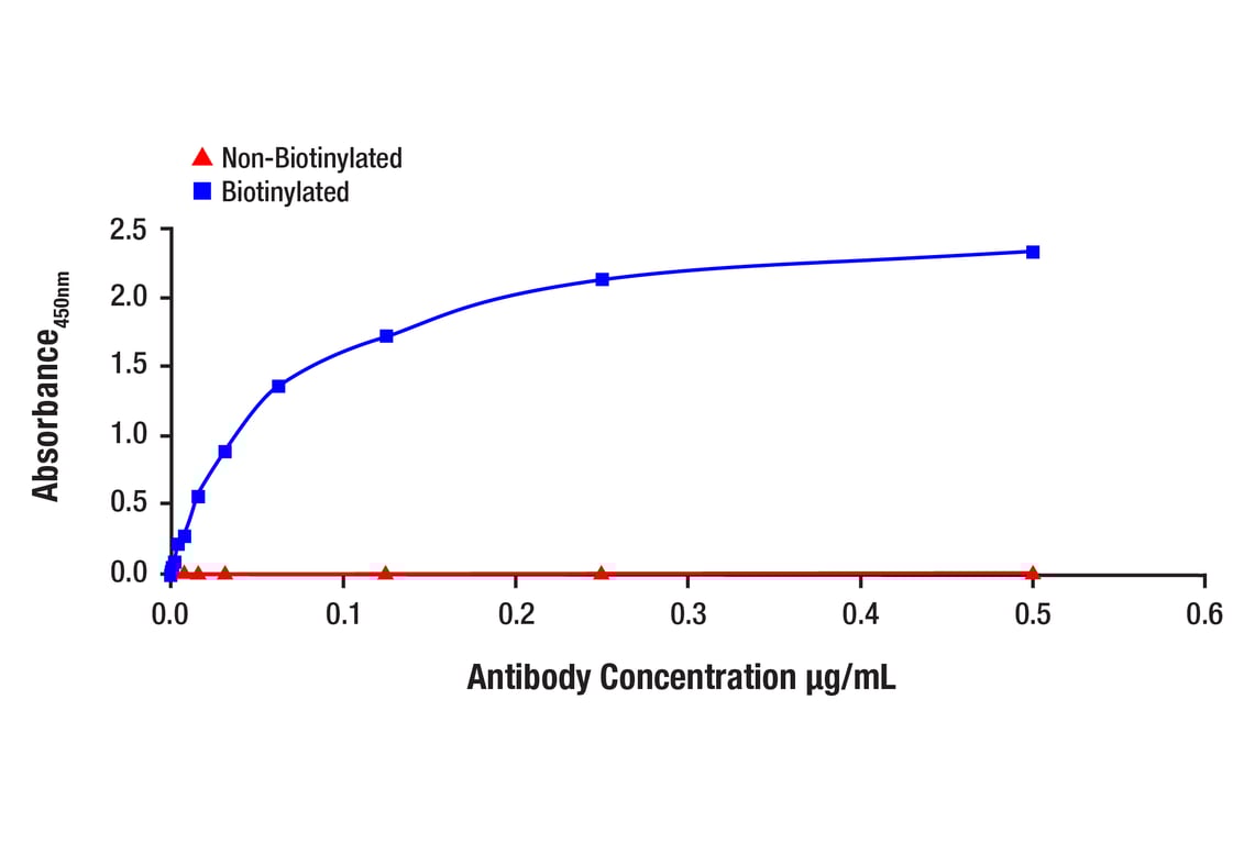 E Image 1: Met (L41G3) Mouse Monoclonal Antibody (Biotinylated)