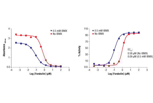 ELISA Image 2: Cyclic AMP Assay Kit