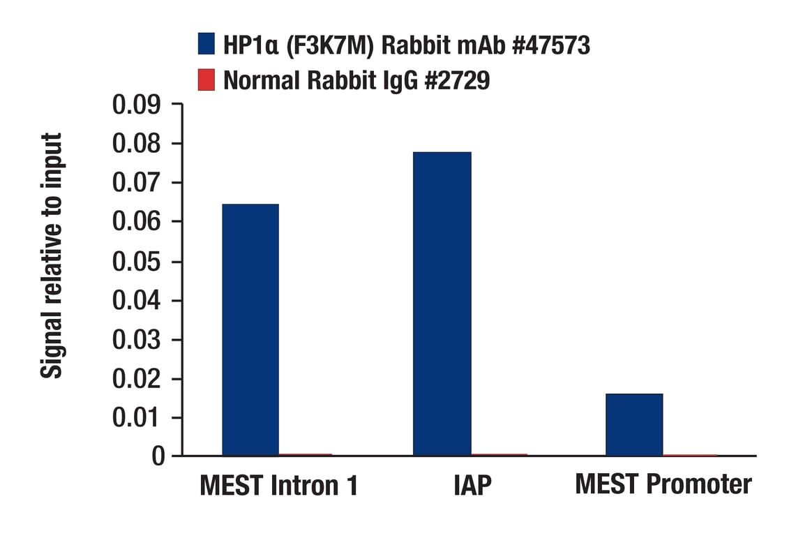 Chromatin Immunoprecipitation Image 1: HP1 alpha (F3K7M) Rabbit Monoclonal Antibody