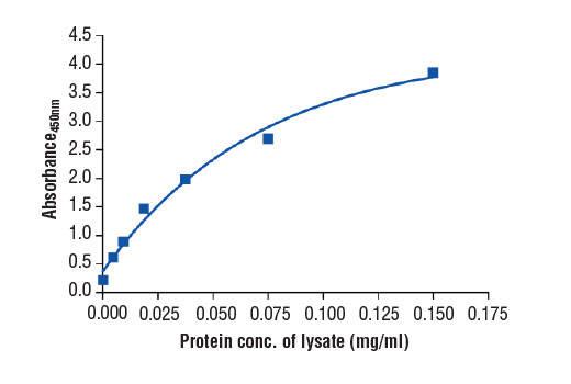 ELISA Image 2: PathScan<sup>®</sup> Total Ki-67 Sandwich ELISA Kit