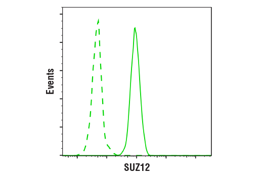 Flow Cytometry Image 1: SUZ12 (D39F6) Rabbit Monoclonal Antibody (BSA and Azide Free)