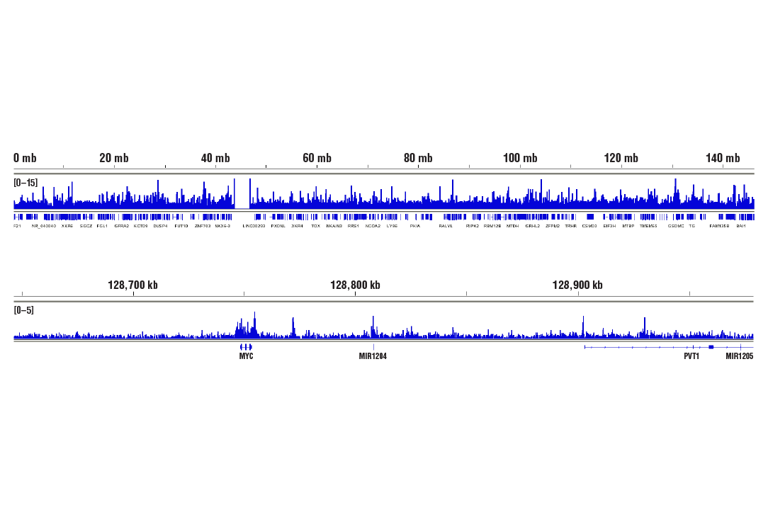 Chromatin Immunoprecipitation Image 2: BRD4 (E2A7X) Rabbit Monoclonal Antibody