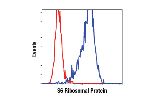 Flow Cytometry Image 1: S6 Ribosomal Protein (54D2) Mouse Monoclonal Antibody (BSA and Azide Free)