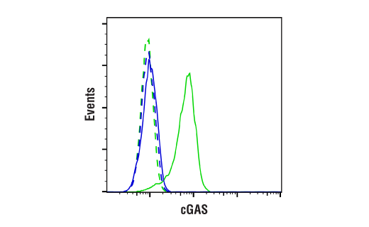 Flow Cytometry Image 1: cGAS (E5V3W) Rabbit Monoclonal Antibody (BSA and Azide Free)