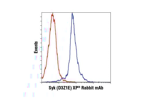 Flow Cytometry Image 1: Syk (D3Z1E) Rabbit Monoclonal Antibody (BSA and Azide Free)