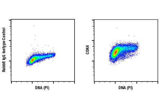 Flow Cytometry Image 1: CDK4 (D9G3E) Rabbit Monoclonal Antibody (BSA and Azide Free)