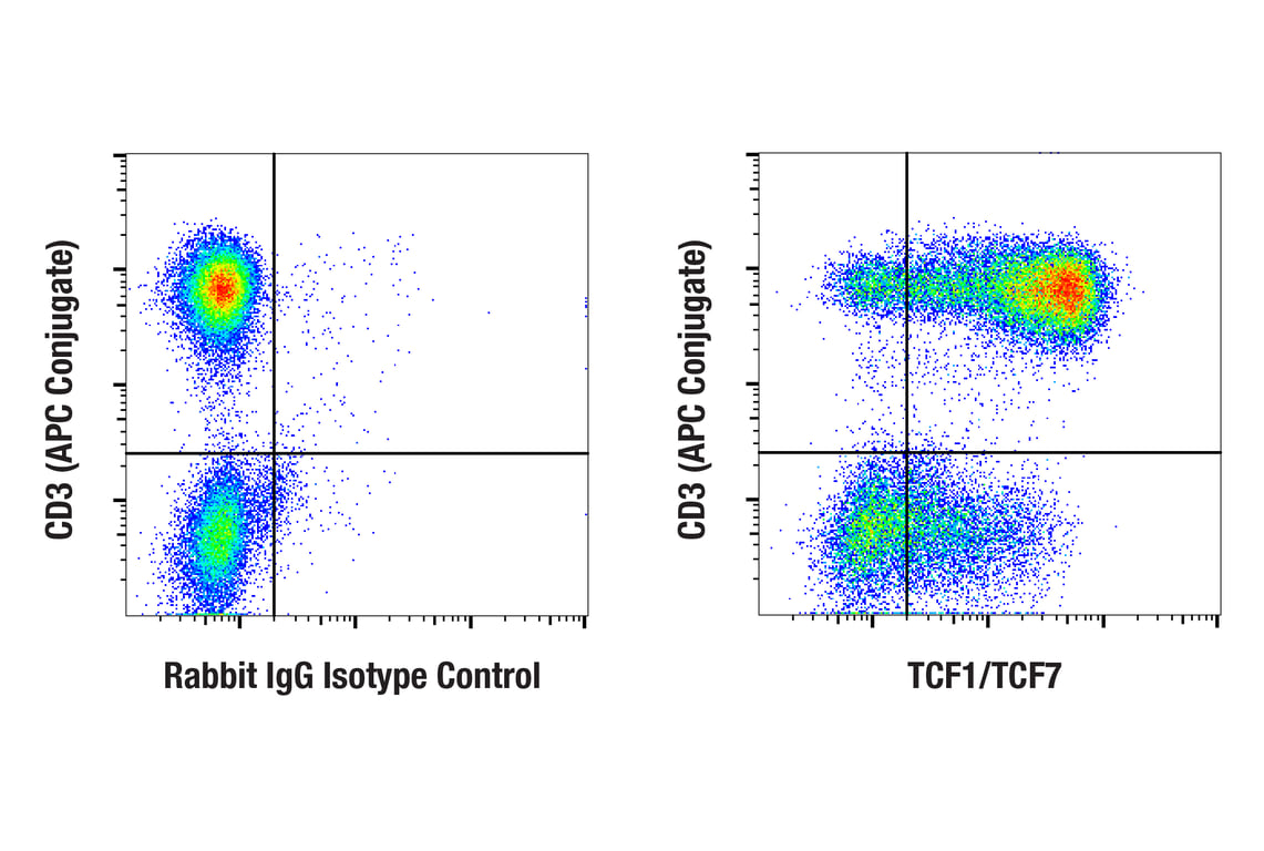 Flow Cytometry Image 2: TCF1/TCF7 (E6O1K) Rabbit Monoclonal Antibody