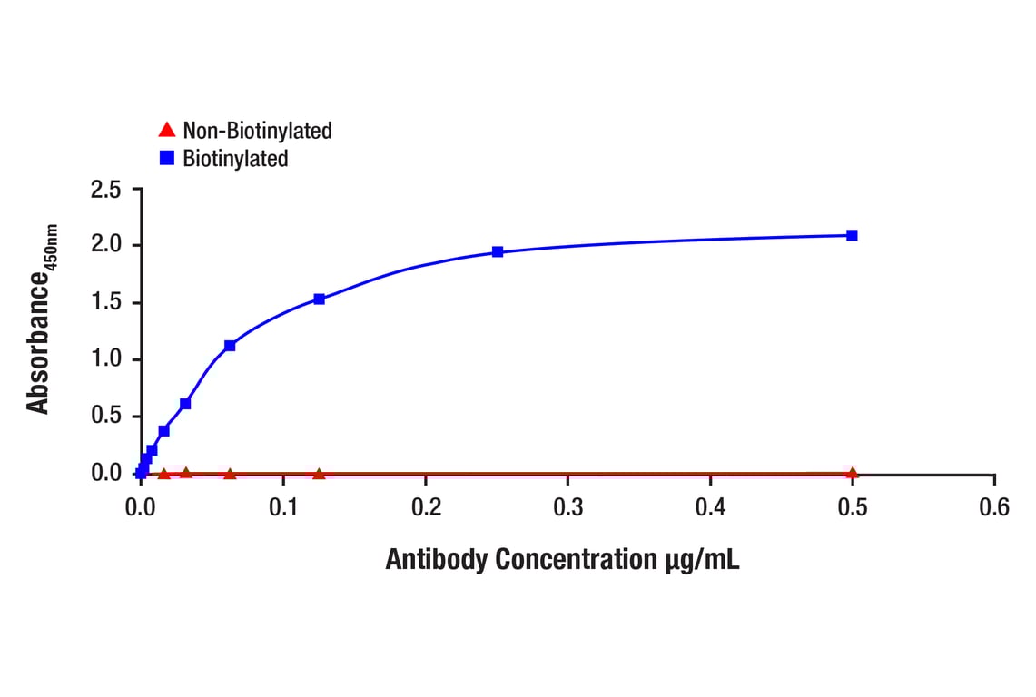 E Image 1: Phospho-Histone H3 (Ser10) (D2C8) Rabbit Monoclonal Antibody (Biotinylated)